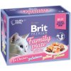 Brit Premium Cat D Fillets in Jelly Family Plate 1020 g (12x85g)