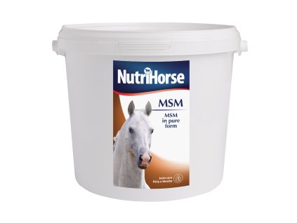 MSM