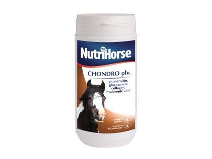 Chondro plv