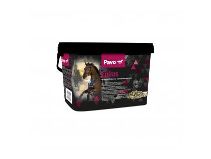 2 eplus links new 1 2