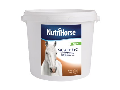 Muscle E+C