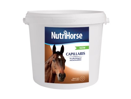 Capillaris