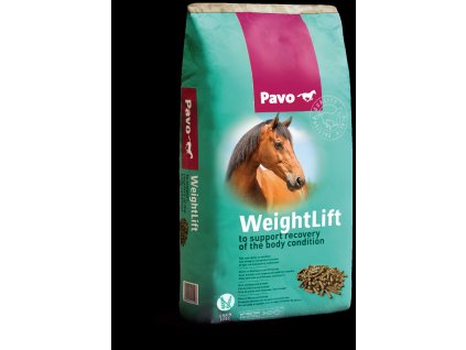 WeightLift 20kg 86181 shadow