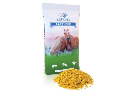 cornflakes