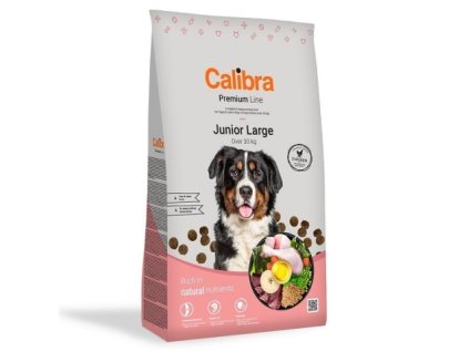 largejunior