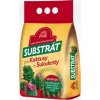substrat5