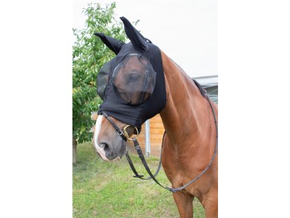 20220601 084211 3uqbggrala x