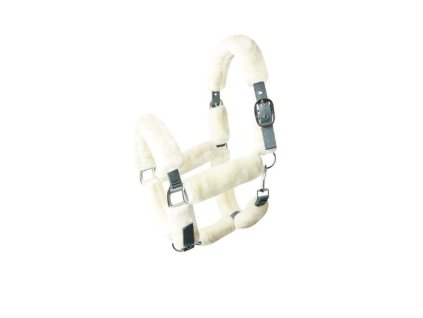 20221020 142410 ri065v8rel x