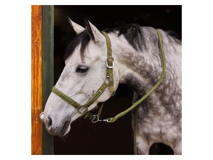 Snímek obrazovky 2024 10 07 081909