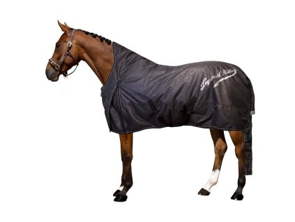 62313 8 17078ebf2fc8661300d42324b6595f9349203e71 de50314001 9000 20241011 121510 x