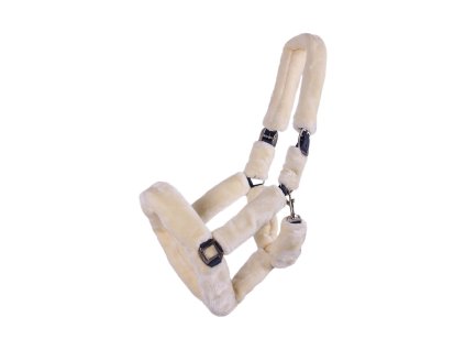 60431 1 1097gscr 20241029 155410 x