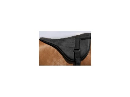 78182 1 1 20250130 101812 x