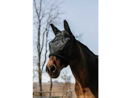 63754 1 equitheme teddy fly mask uv mask 20250507 110311 x