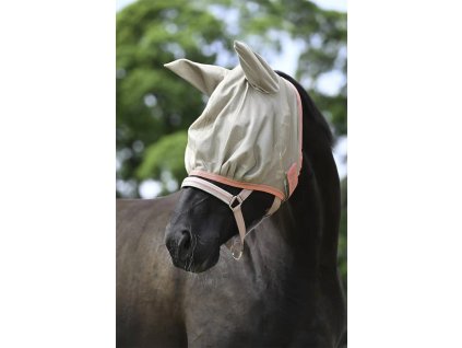 62757 5 90540 20250514 103318 x