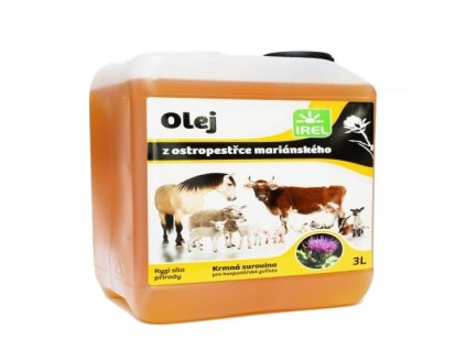 89595 1 89595 20250420 083418 x