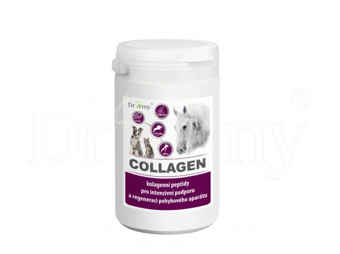 1102 dromy collagen 900g