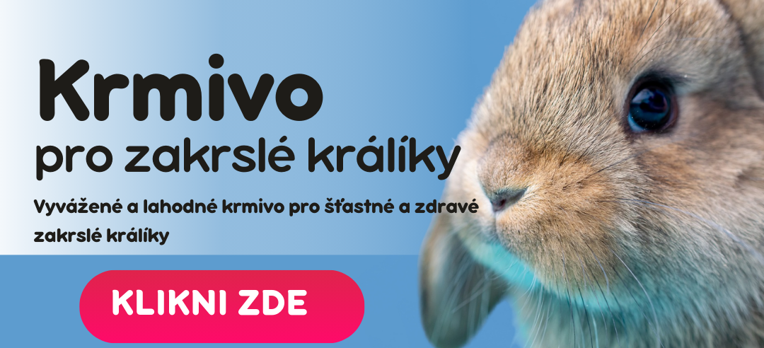 Do kuchyně