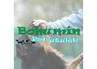 Psí útulek Bohumín