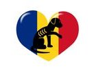 Heart for Romanian dogs