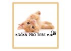 Kočka pro tebe