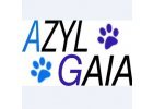 Azyl Gaia