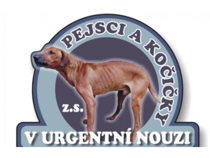 logo pe