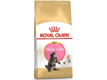 119253 royal canin feline breed kitten maine coon 10 kg