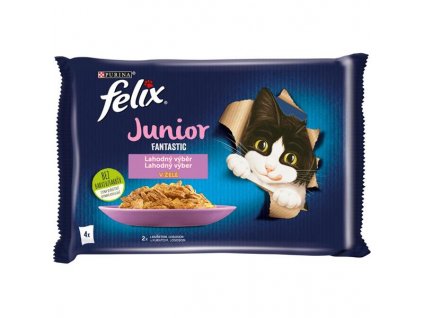 108499 felix fantastic junior multipack s kuretem a lososem v zele 4 x 85 g