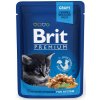 104803 brit premium cat pouches chicken chunks for kitten 100 g