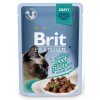 102382 azyl gaia brit premium cat delicate fillets in gravy with beef 85 g