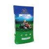 energys kralici r