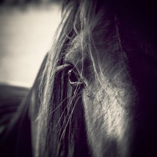 Někdy osud naloží více, než by nás kdy napadlo. Někdy se dostaneme do situace, kdy jen tak tak zachráníme to...