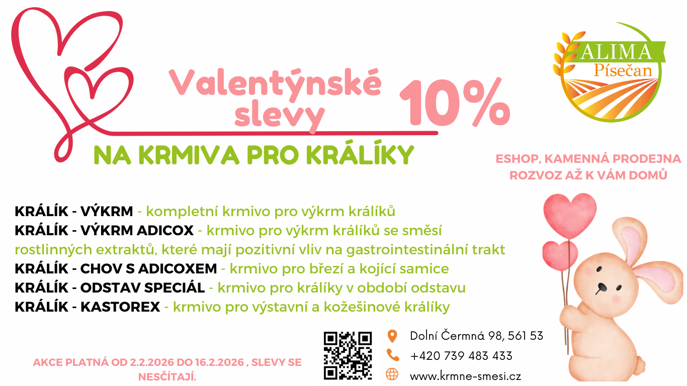 Valentýnská akce