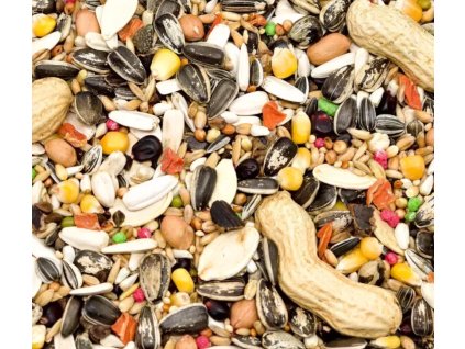 Snímek obrazovky 2025 09 26 111739