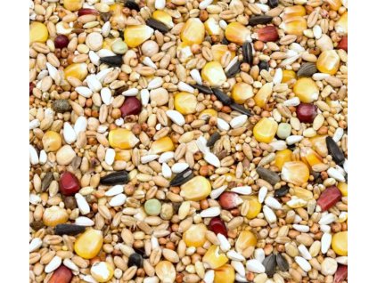 Snímek obrazovky 2025 09 26 113207