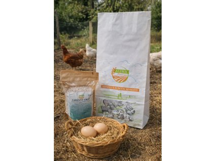 ced535fb 42bd 4562 9b7d 598de4865eff