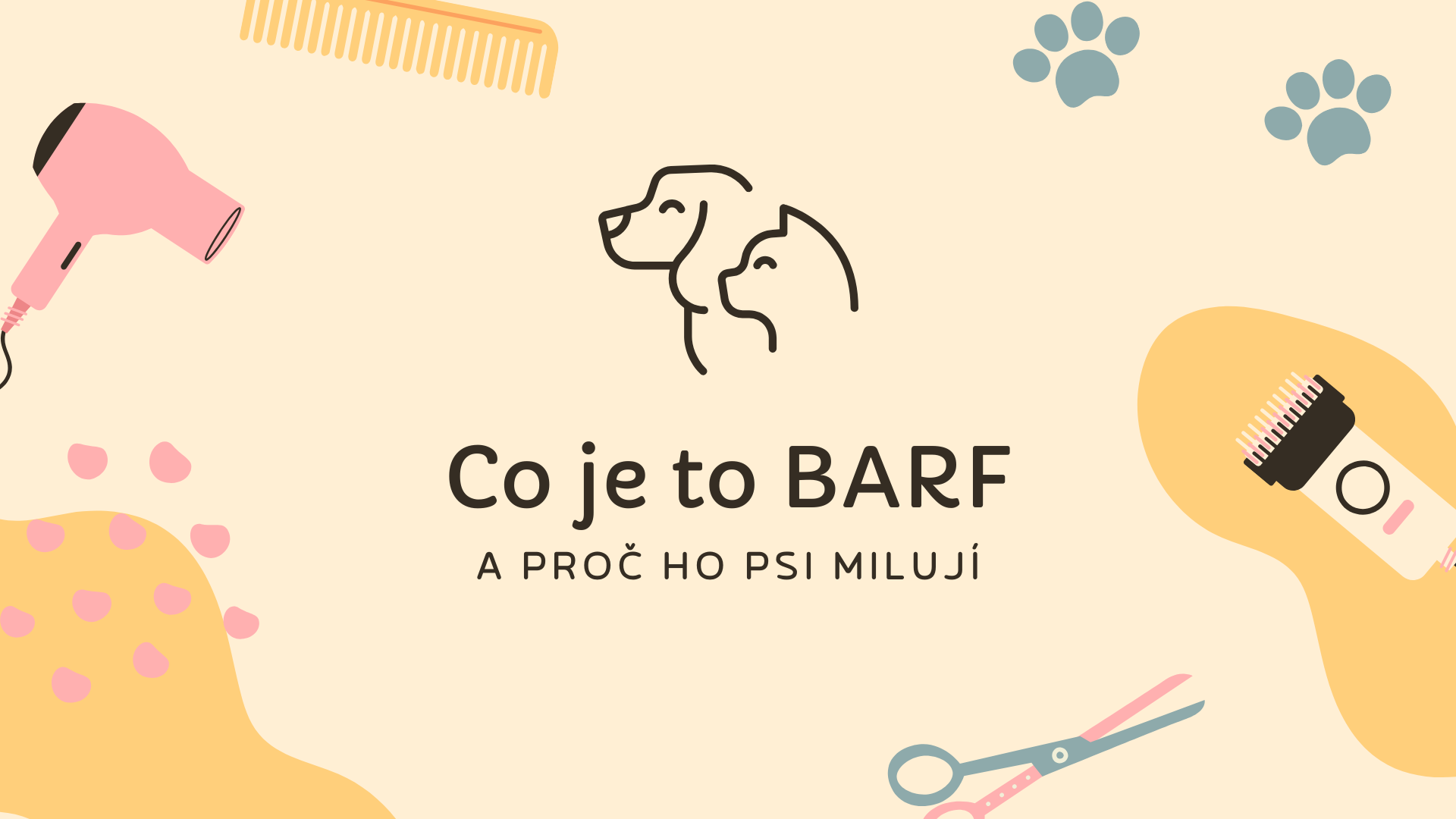 Co je to BARF a proč ho psi milují