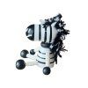 Zebra magnet 6