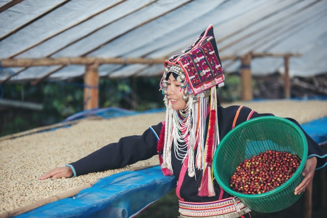 Vietnamská káva: Vše, co potřebujete vědět o kávovém pokladu z Vietnamu