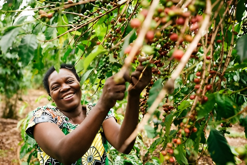 Burundi