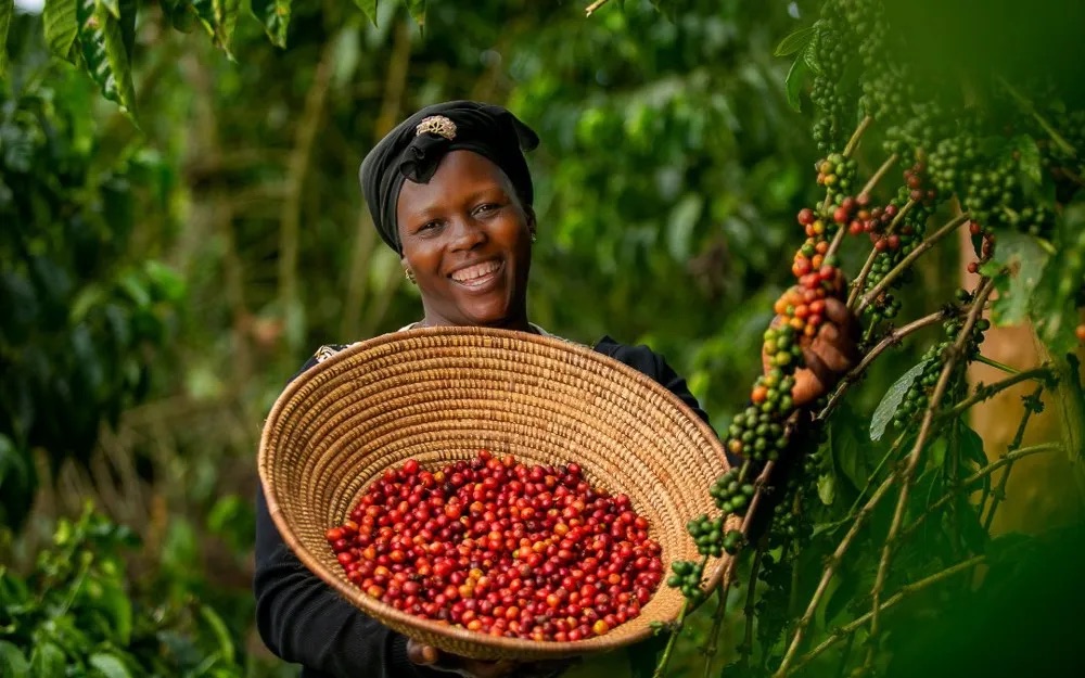 Kenya