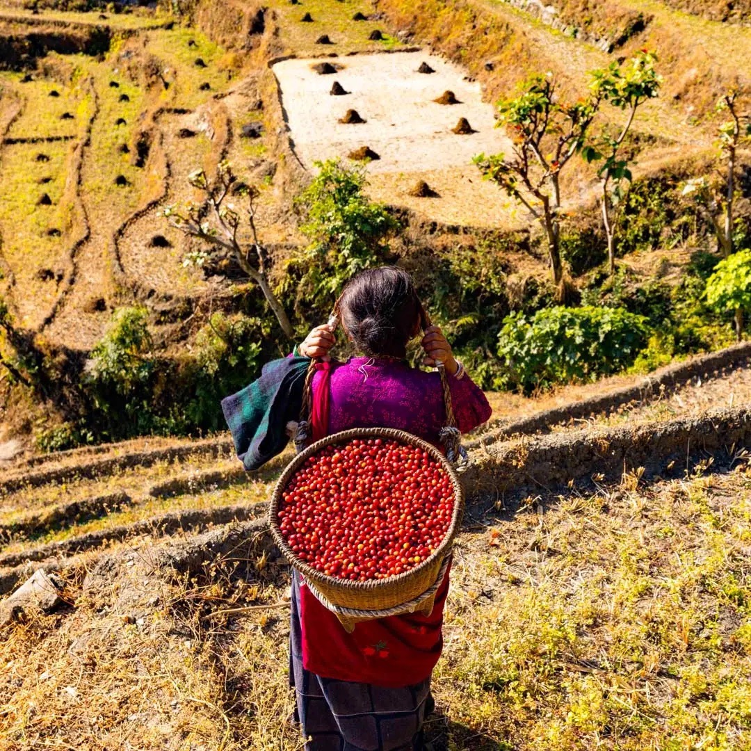 Nepal