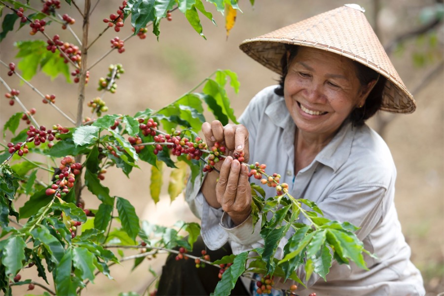 vietnam