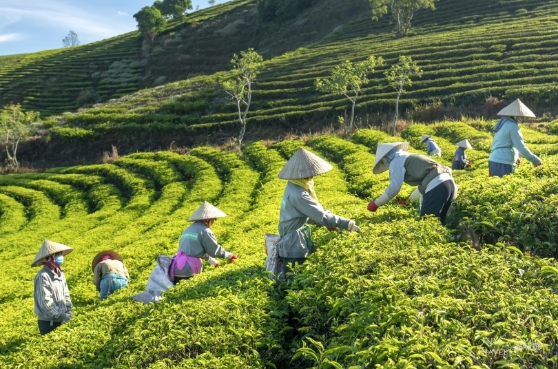 Vietnam