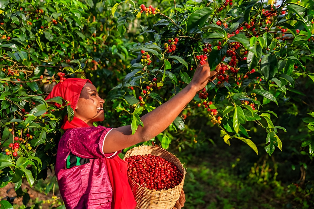 Burundi
