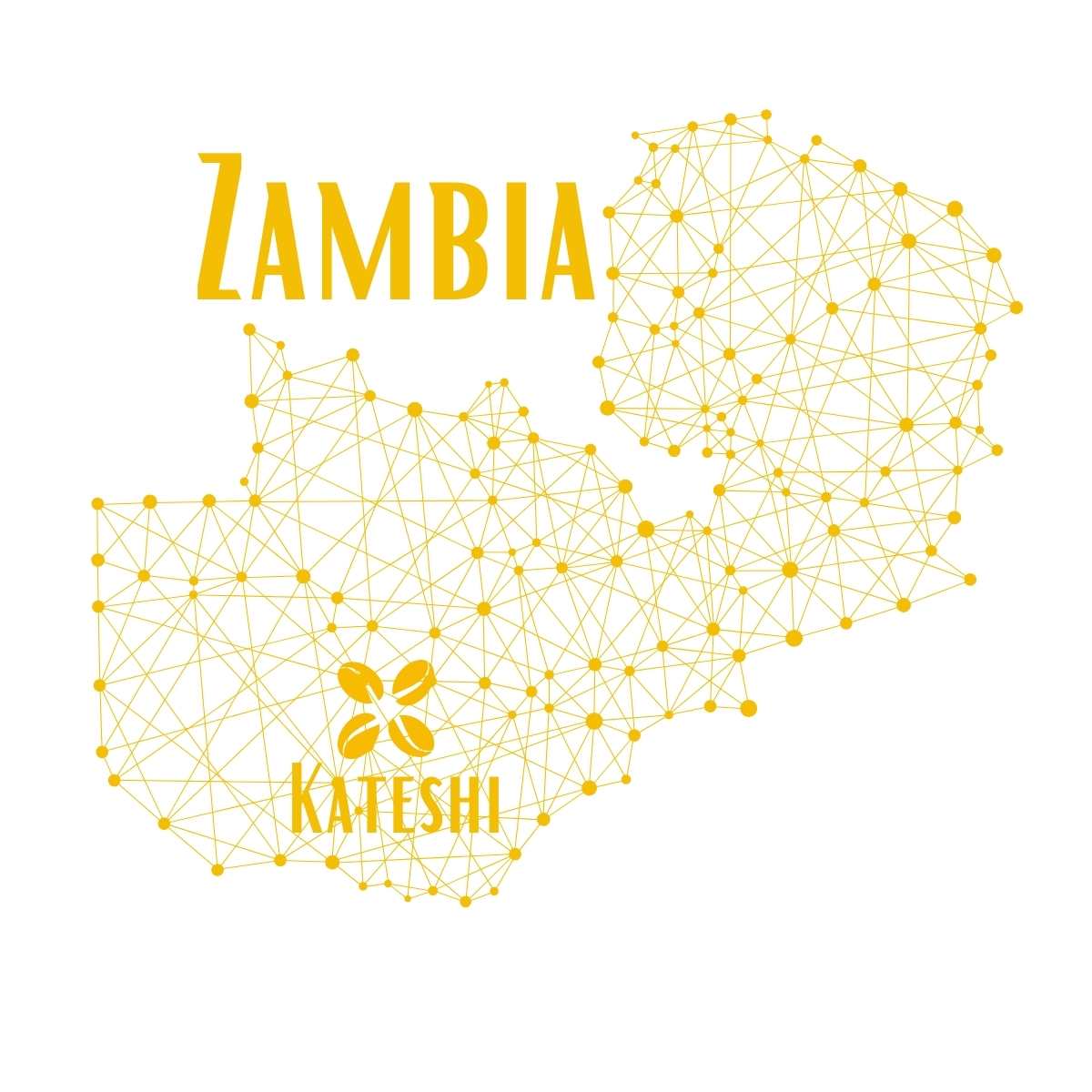 Mapa zambie