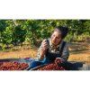 Brazilie fazenda silvestre
