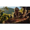 Burundi Gisha Natural 250g (Kávu dodat jako zrnko)
