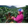 El Salvador SHG EP Finca La Mada (Kávu dodat jako zrnko, Množství kávy 100g)