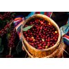 Honduras Geisha Premium Santa Barbara Trinidad Finca Jerusalén – Honey (Kávu dodat jako zrnko, Množství kávy 100g)